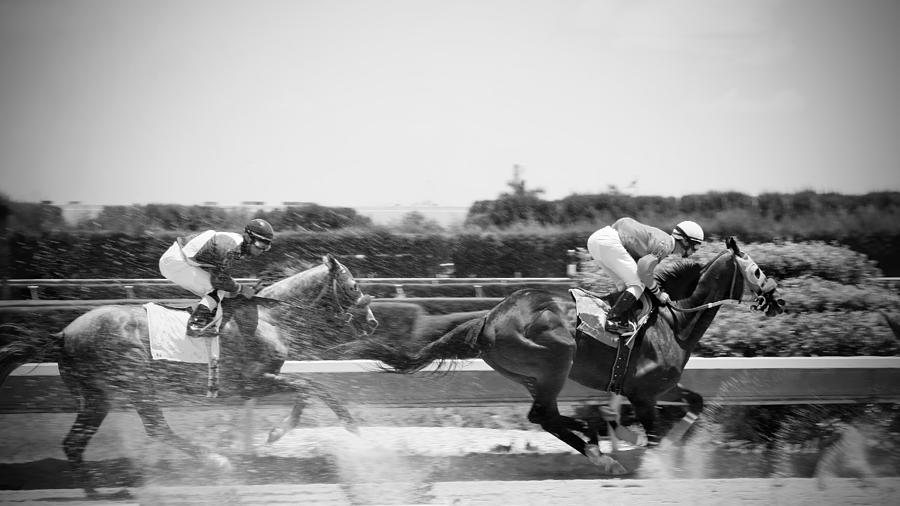 Day At The Races Bw Photograph
