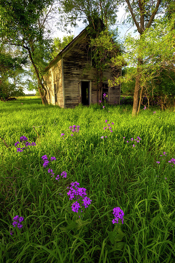 Abandoned Photograph - Day Dream by Aaron J Groen