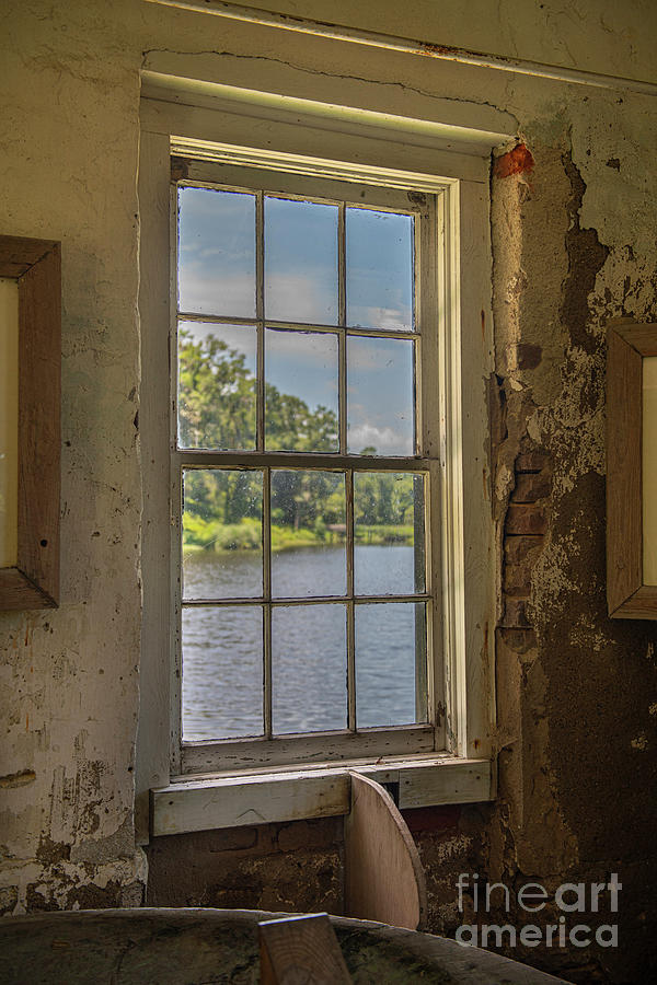 Day Dreaming - Middleton Place Photograph