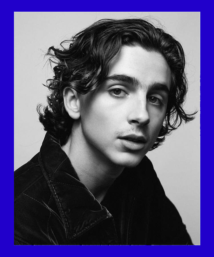 Day Gift Timothee Chalamet Gifts For Birthday Digital Art by Lonazyshop ...
