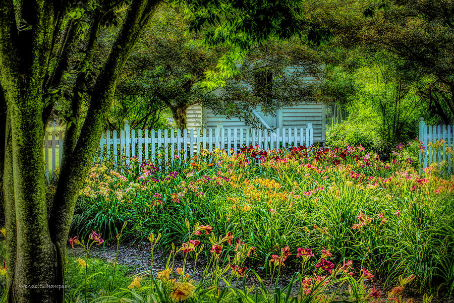 Day Lily Festival, Owensboro Botanical Gardens Photograph by Wendell