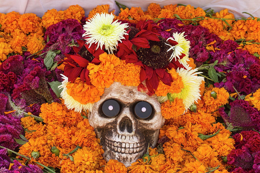Day of the Dead Flowers and Skull Photograph by Lindley Johnson