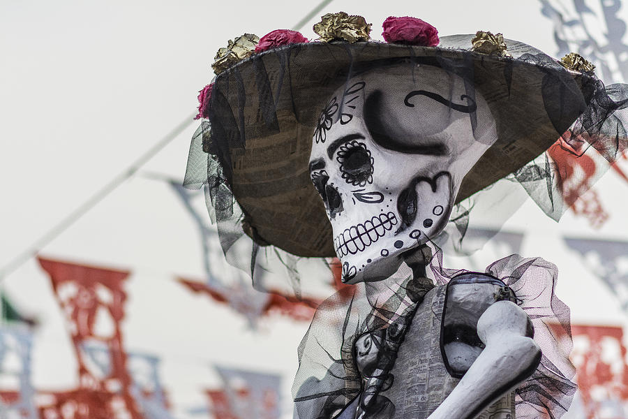 Day of the Dead in Mexico City Photograph by Gabriel Perez