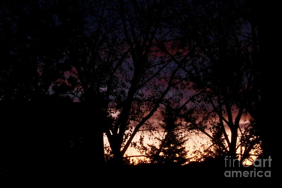 Daybreak Photograph by Ann E Robson
