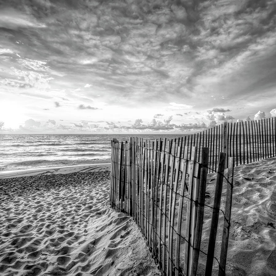 Daybreak on the Dunes Black and White in Square Photograph by Debra and Dave Vanderlaan