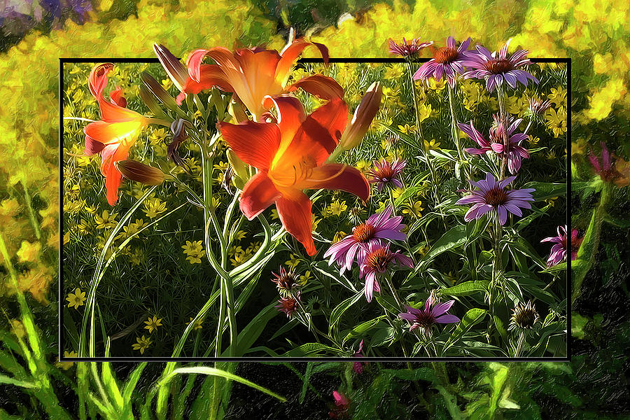 Daylilies and Cone Flowers  Digital Art by Rod Melotte
