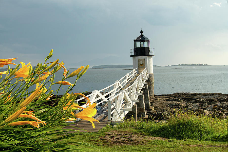 Daylilies At Marshall Point Lighthouse Photograph