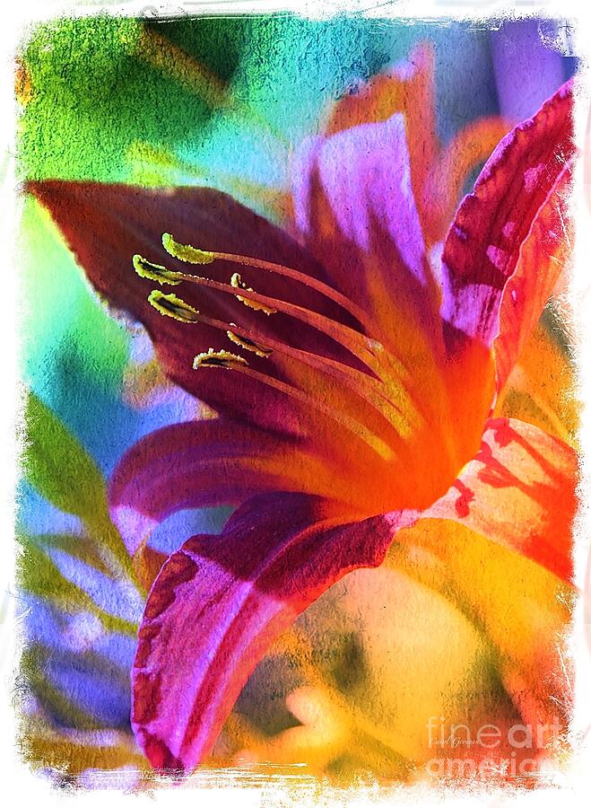 Abstract Photograph - Daylily Delight by Carol Groenen