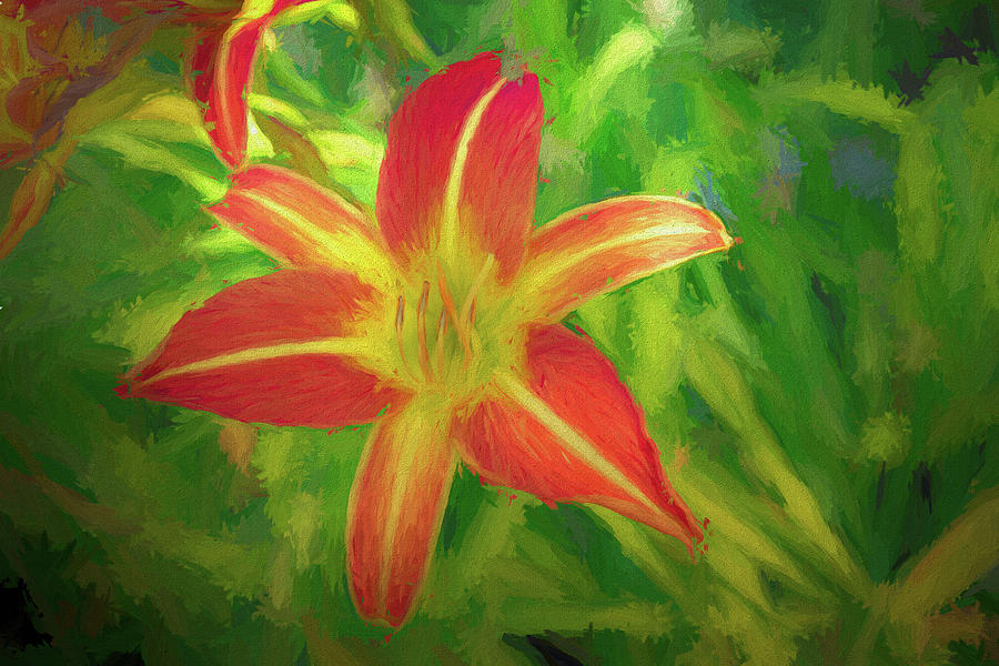 Daylily Painterly Photograph by Alison Frank