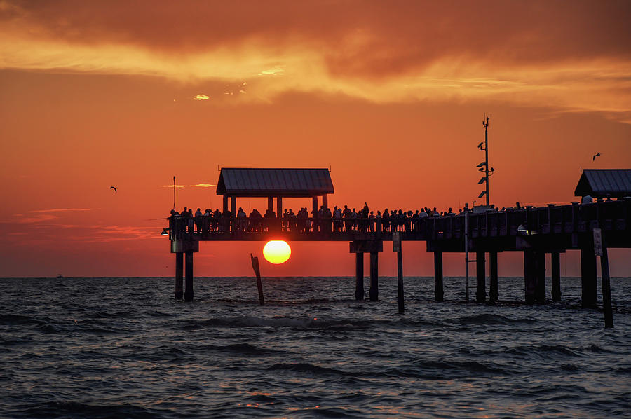 Days End - Sunset at Pier 60 Photograph by Bill Cannon | Fine Art America