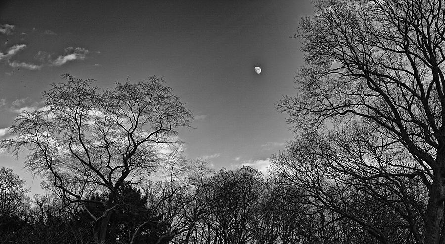 Daytime Moon Black and White Photograph by Russel Considine