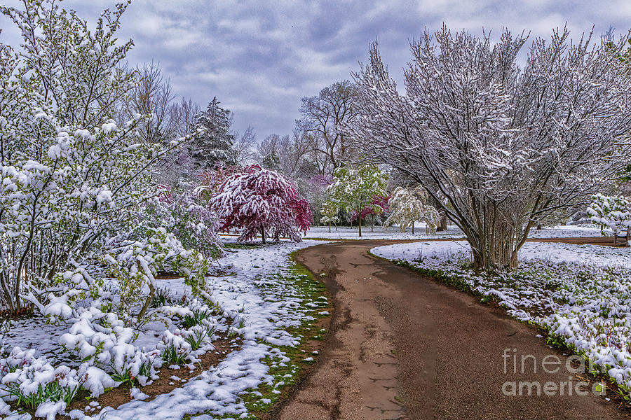 Dayton Ohio Spring Snowfall Photograph by Teresa Jack Fine Art America