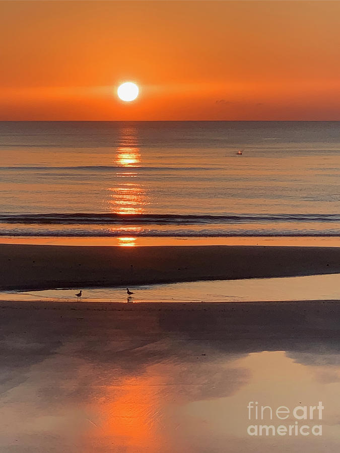 Daytona Beach Morning Sunrise Photograph by David Zanzinger
