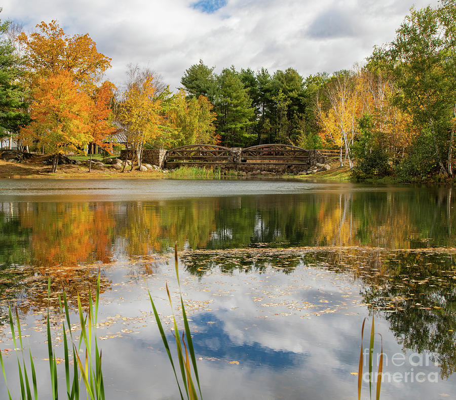 Dazzling Fall Colors, Lincoln Woods State Park Providence Rhode Island Photograph