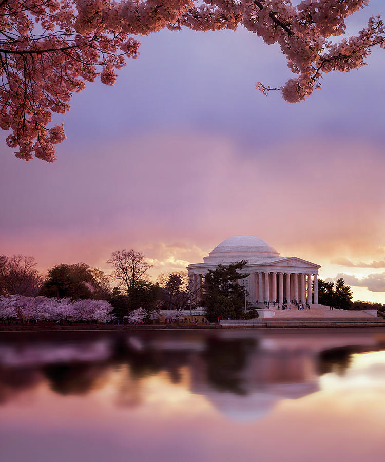 DC Cherry Blossoms Photograph by Andrew Soundarajan