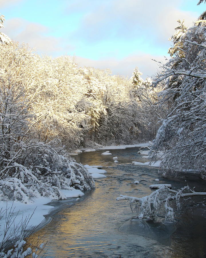 Dd Kennedy Park In Winter Photograph By Arvin Miner Fine Art America