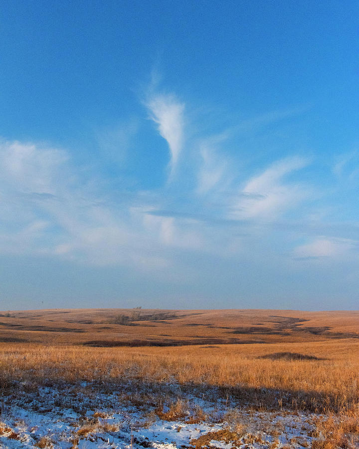 DDP DJD Winter Prairie Landscape 5919b Photograph by David Drew