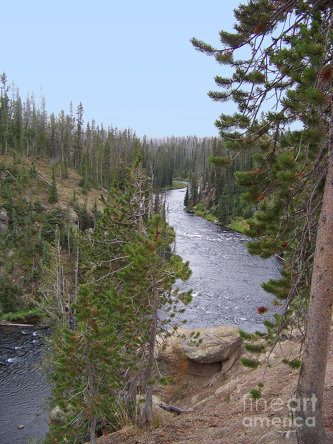De Lacy Creek - Yellowstone National Park Photograph by Charles Robinson