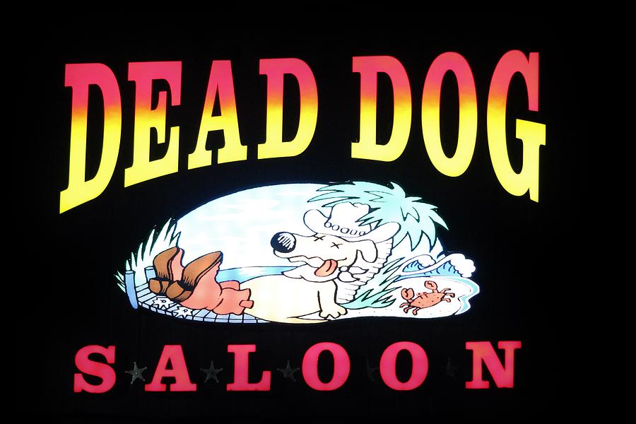 Dead Dog Saloon Photograph by Cynthia Guinn - Fine Art America