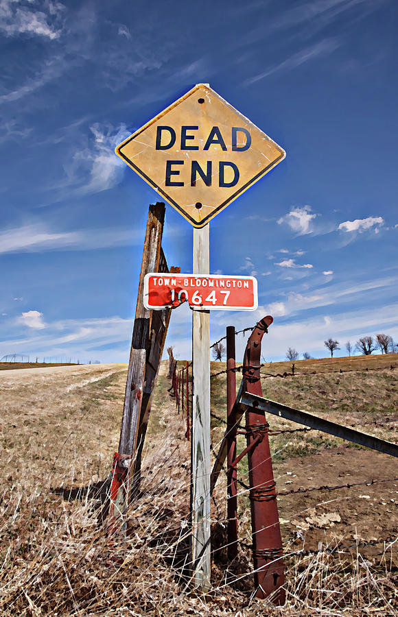 Dead End On A Country Road Photograph by Steve Lucas
