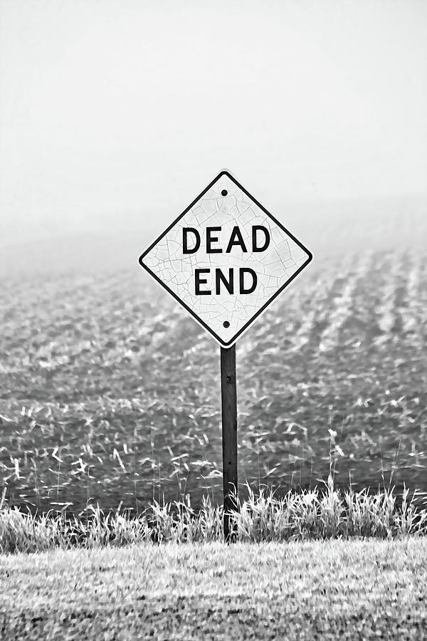 Dead End On A Foggy Road Black and White Photograph by Steve Lucas