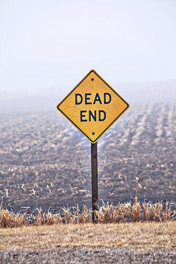 Dead End On A Foggy Road Photograph by Steve Lucas
