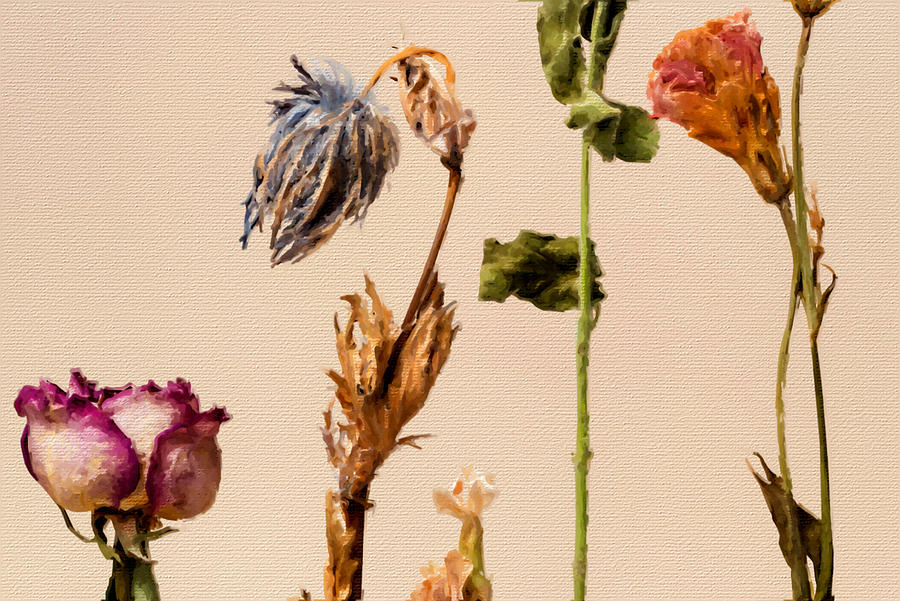 Dead Flowers Painting by Tony Rubino