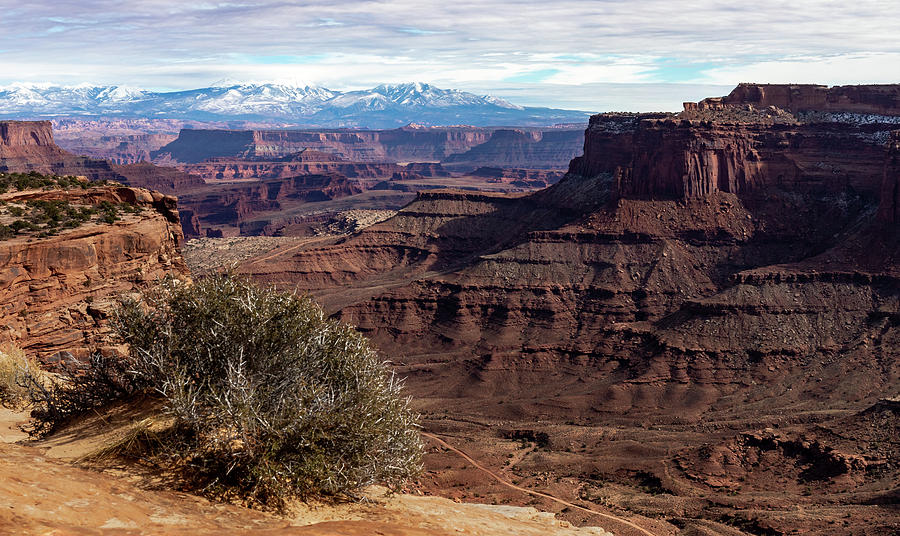 Dead Horse Point State Park Valleys #1 Photograph by Ed Clark