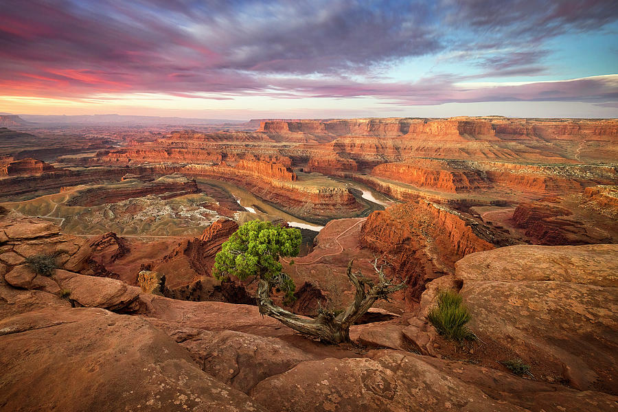 Dead Horse Point Photograph by Whit Richardson Dead Horse Point Photograph by Whit Richardson