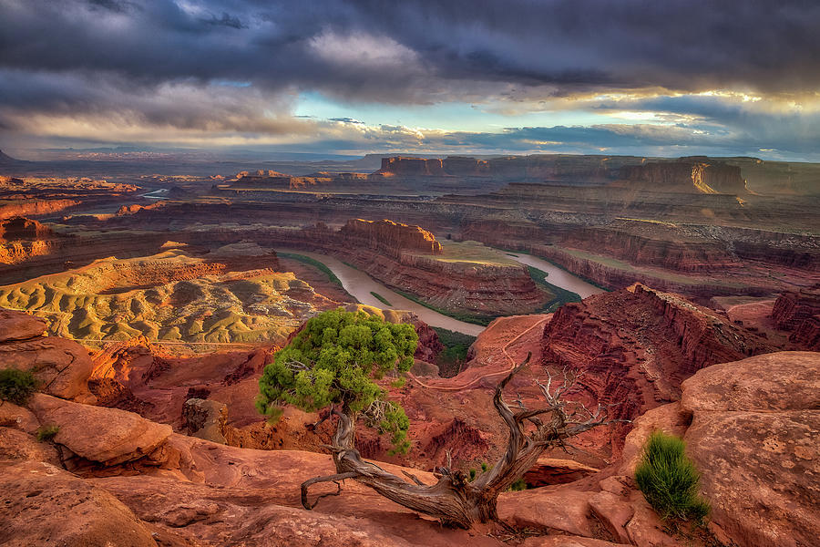 Dead Horse Sunset Photograph by Chuck Rasco Photography - Fine Art America