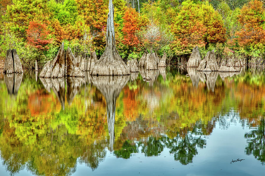 Dead Lakes Autumn Photograph by Jurgen Lorenzen