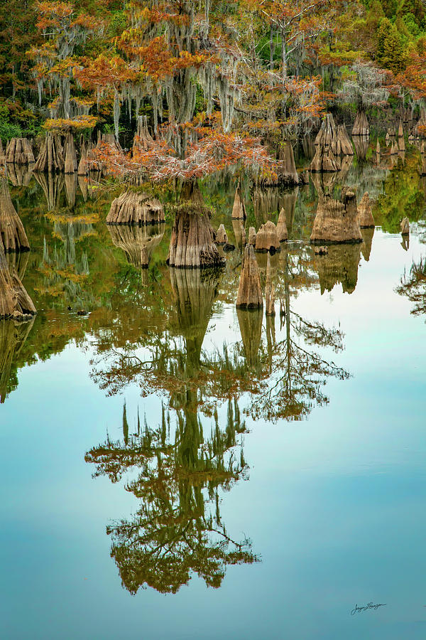 Dead Lakes Reflection Photograph by Jurgen Lorenzen