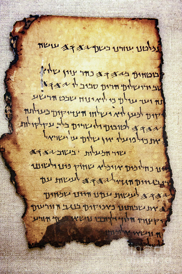 Dead Sea Scrolls r3 Photograph by Eyal Bartov