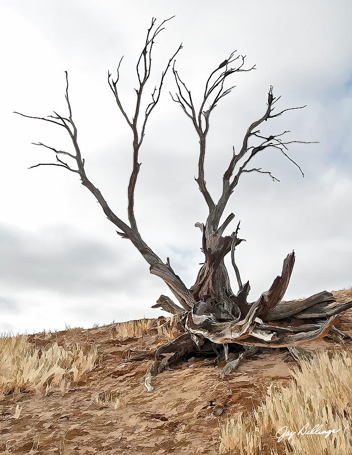 Dead Tree Digital Art by Jay Billings - Fine Art America