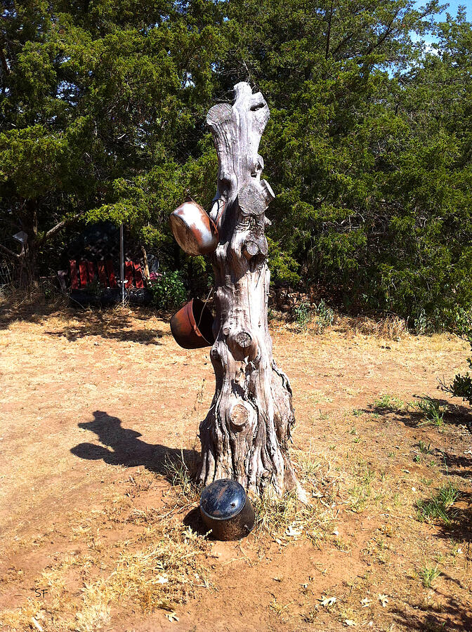 Dead Tree Pot Hanger Hillbilly Yard Ornament Photograph by Shelli Fitzpatrick