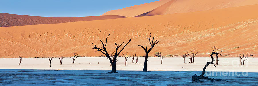 Tree Photograph - Dead Vlei panorama, Namibia by Justin Foulkes
