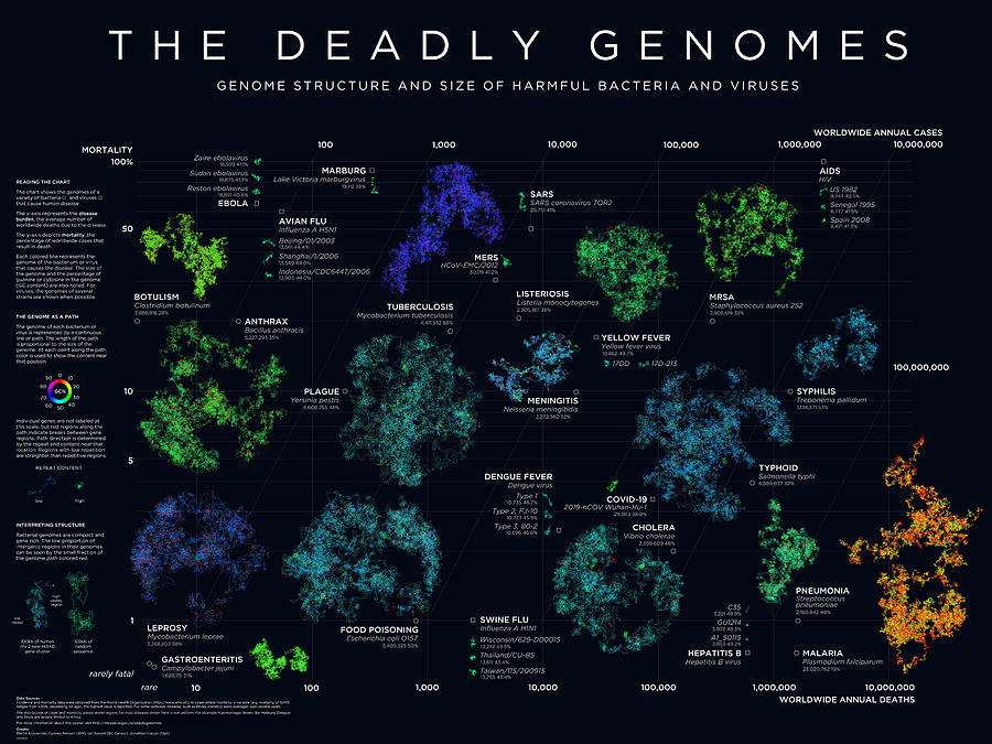 Deadly Genomes Digital Art by Martin Krzywinski