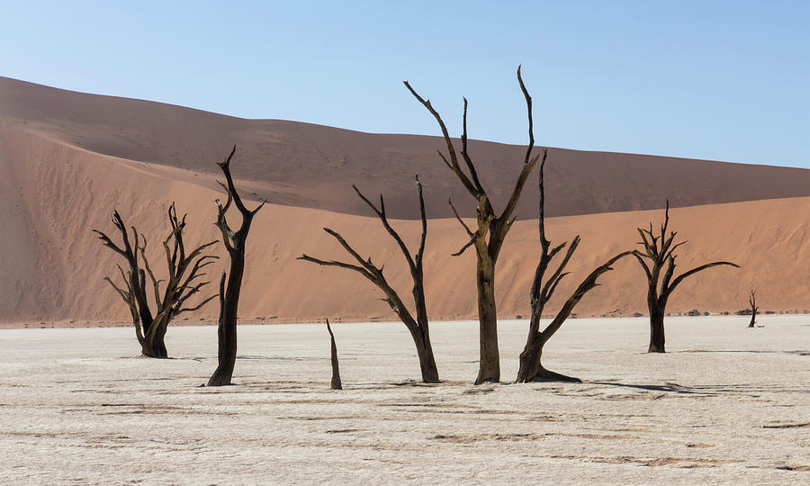 Deadvleiv desert  Photograph by Mache Del Campo