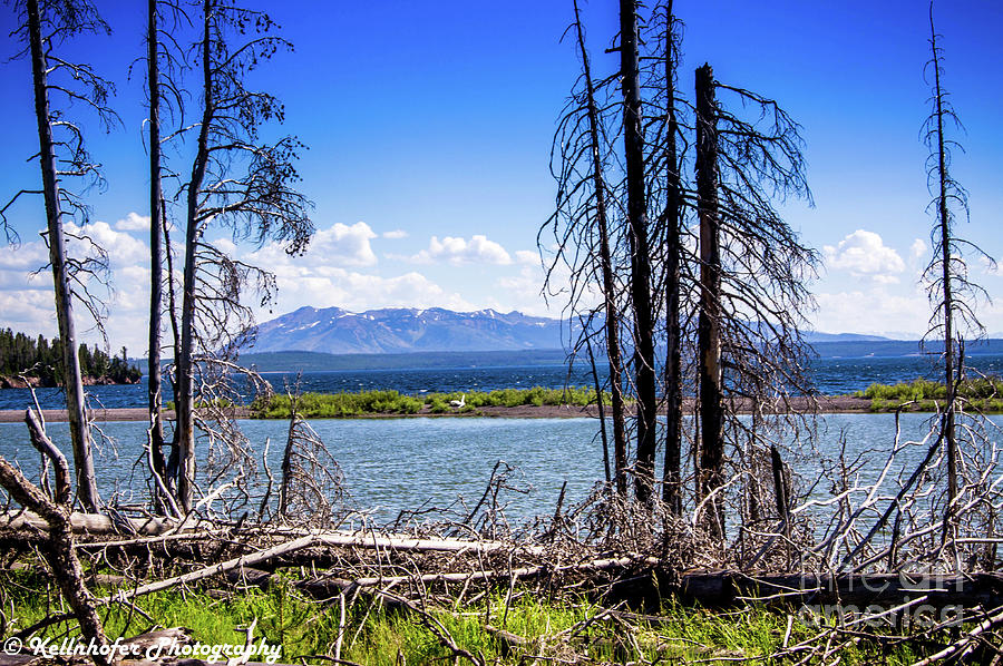 Deadwood Photograph by Ruby Kellnhofer - Fine Art America