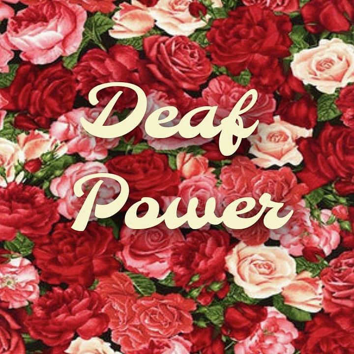 Deaf Power Roses Photograph by TheresaMarie Scavo - Fine Art America