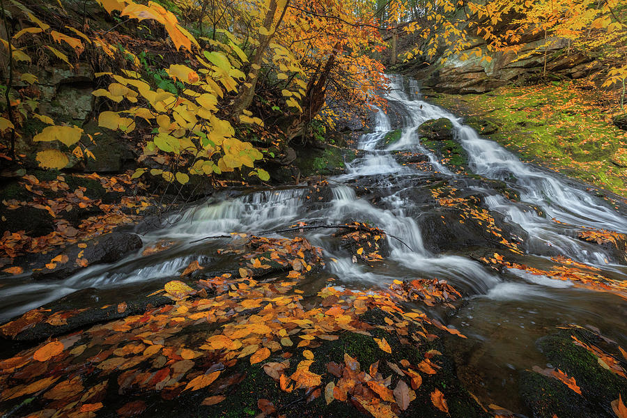 Deans Ravine Falls Autumn Photograph by Bill Wakeley