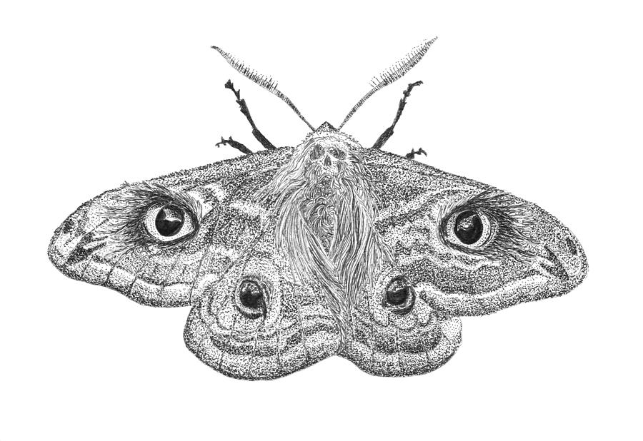 Death Moth Painting by Jenny Armitage