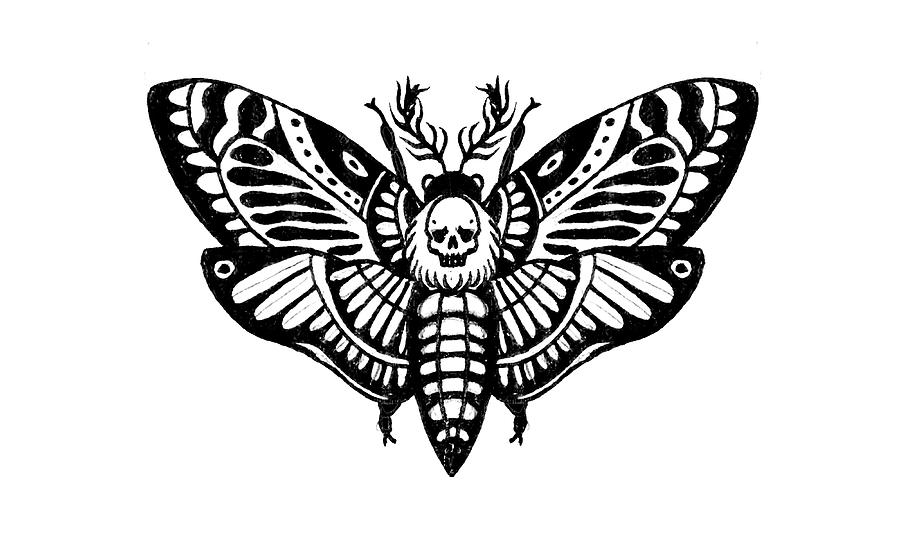 https://images.fineartamerica.com/images/artworkimages/mediumlarge/3/death-moth-natalia-bennett.jpg