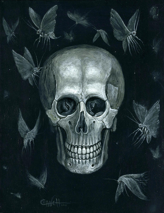 Death Moths by RS Connett Painting by All Sorts Art - Fine Art America