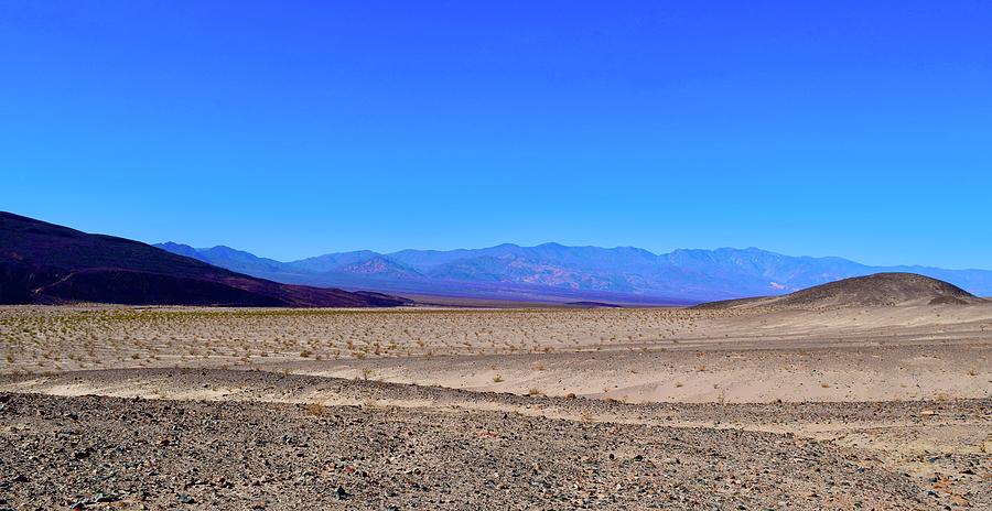 Landscape@Ashford Mill,Death Valley Photograph by Bnte Creations