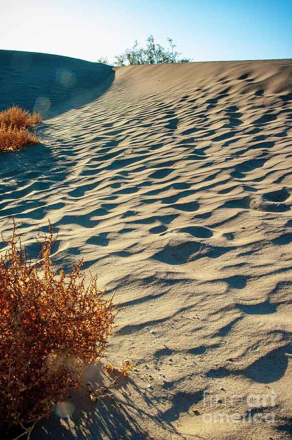 Death Valley 17 Photograph
