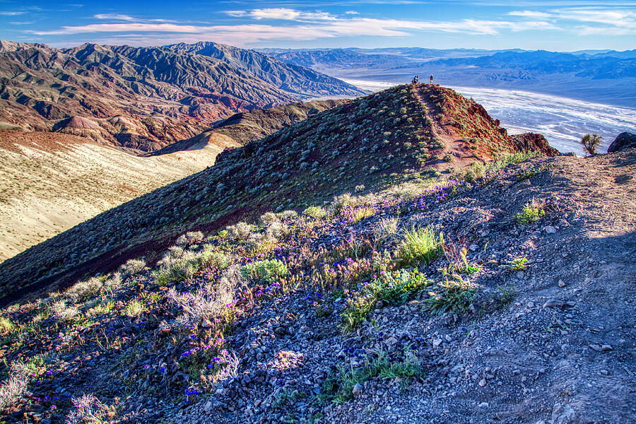 Death Valley at spring Photograph by Tatiana Travelways