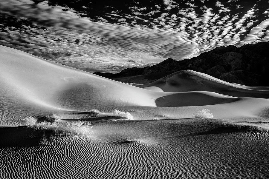 Death Valley Combo Photograph