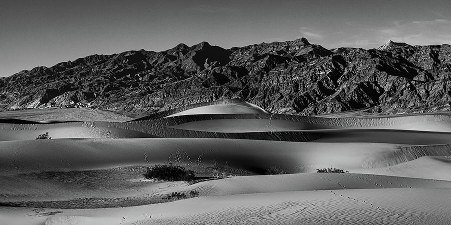 Death Valley - Contrast No. 15 Photograph by Peter Tellone
