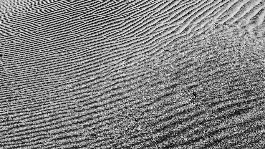 Death Valley - Contrast No. 5 Photograph by Peter Tellone